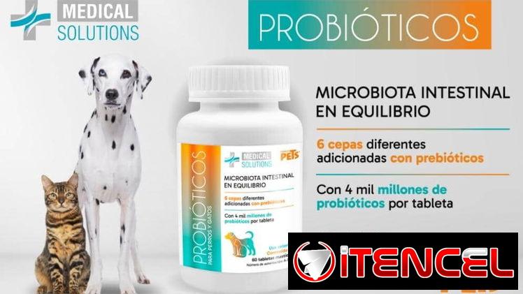 Probióticos