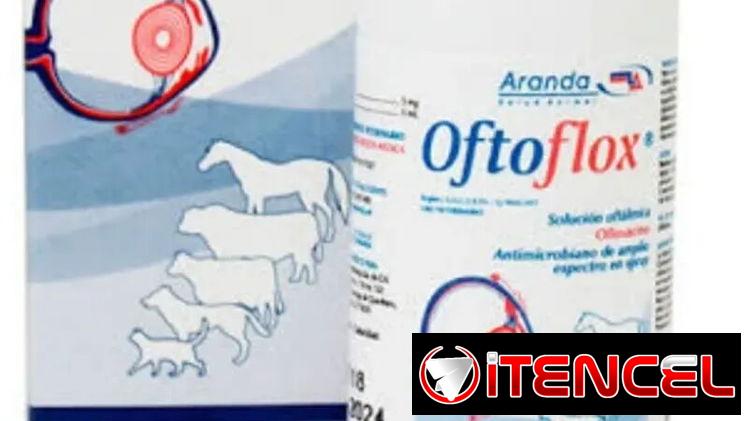OFTOFLOX