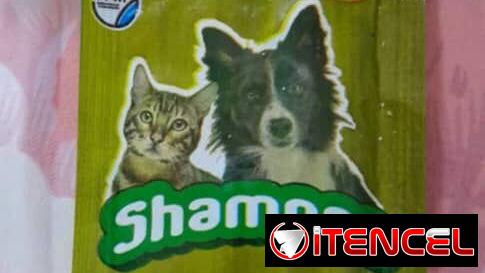 EME MASCOTAS 🐶🐱