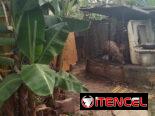 SE VENDE UNA CASA EN LOS LIMITES DE BARBOSA.+53 5 9313841