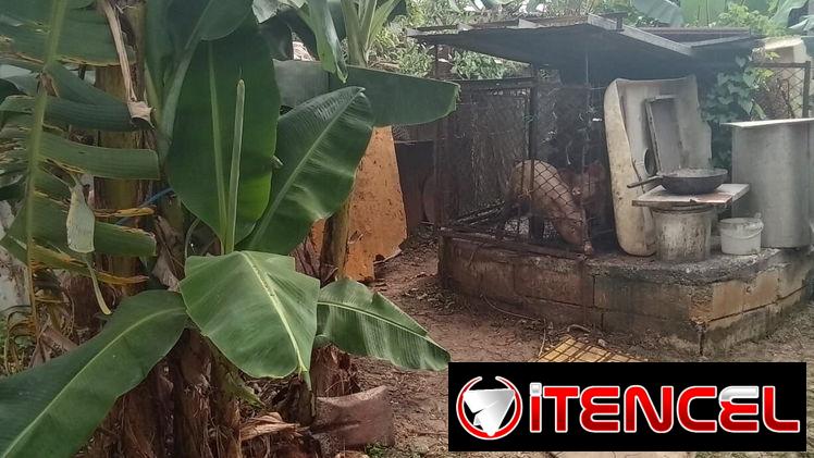 SE VENDE UNA CASA EN LOS LIMITES DE BARBOSA.+53 5 9313841