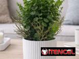 Maceta con planta artificial decorativa (CV)