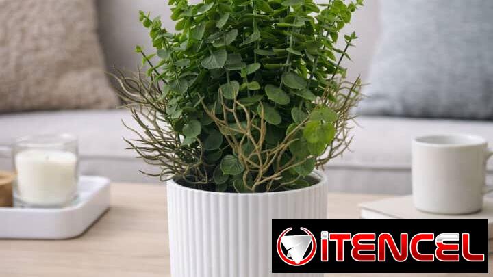 Maceta con planta artificial decorativa (CV)