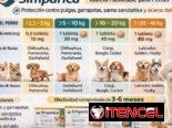 Simpárica todos los pesos