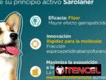 Simpárica todos los pesos