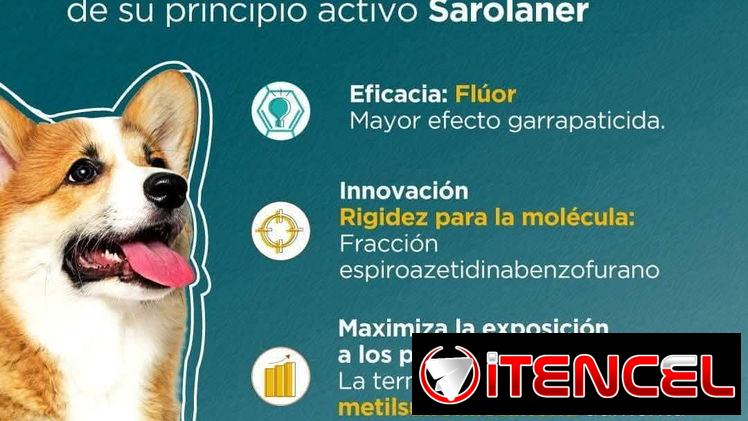 Simpárica todos los pesos