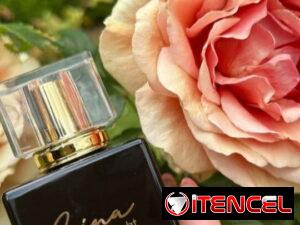 37dd6406cbfa72ae24a42479aed58121ae183295e6e64f4fa19688df812871c7