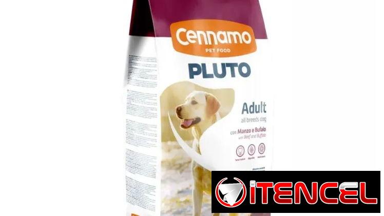 Pienso para perros