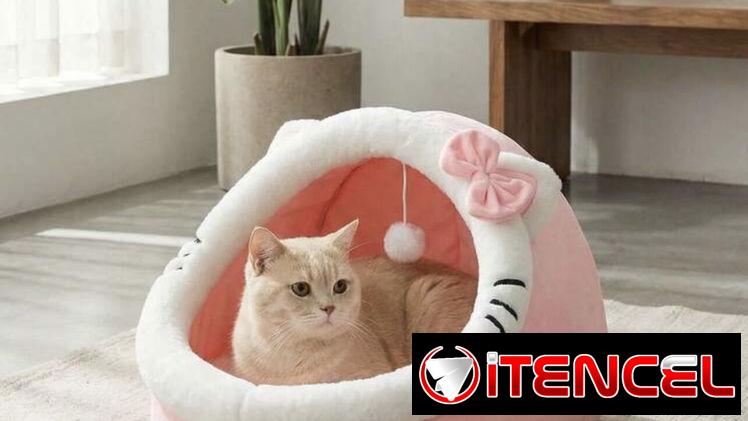 Cama para perros y gatos.