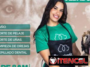 384dc1a4abef7fa84980b1a8440b1317bdafe7af91626c35ae172aa2f4718392