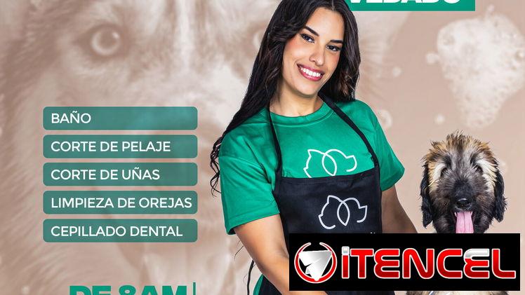 Estética canina
