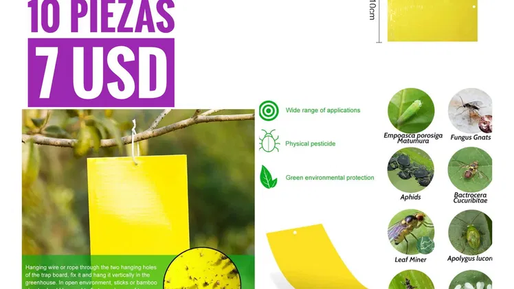 Trampas de ratón/ cinta atrapa moscas/ atrapa ratones