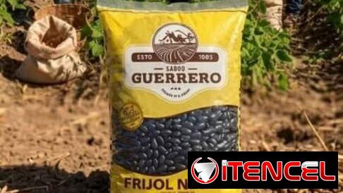 Frijol Guerrero: Solo Compra Mínima