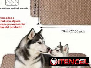 389e6daf0a95fde99476c0c68493213f645e75b4f71be7a019597aeecdb5a0c7