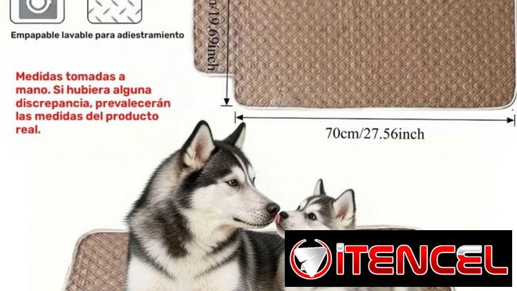 Pañales Reutilizables