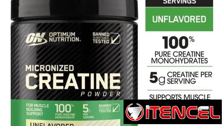 CREATINA MONOHIDRATADA OPTIMUM NUTRITION ON