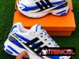 Tenis