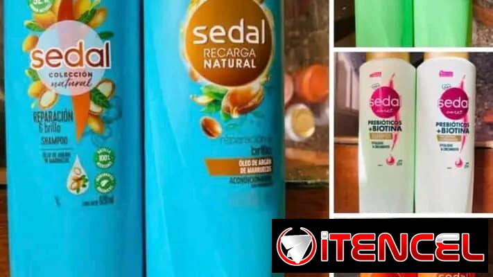 Champú y acondicionador una