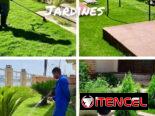 CREAMOS Y DISEÑAMOS JARDINES CON CÉSPED, PLANTAS, PIEDRAS DECORATIVAS, MACETAS Y TODO LO QUE USTED DESEE. JARDINEROS