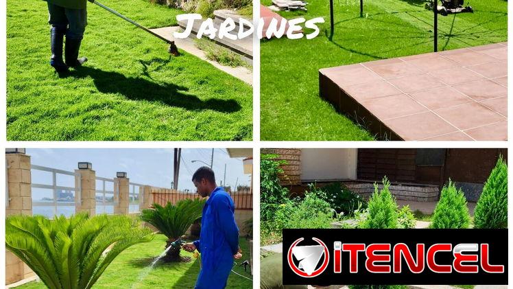 CREAMOS Y DISEÑAMOS JARDINES CON CÉSPED, PLANTAS, PIEDRAS DECORATIVAS, MACETAS Y TODO LO QUE USTED DESEE. JARDINEROS