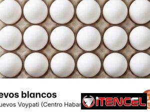 3a73f02c7f30c408a7eeb1fd7b3f8f74cc3692dffaca75bf627368aa0bc5ba03