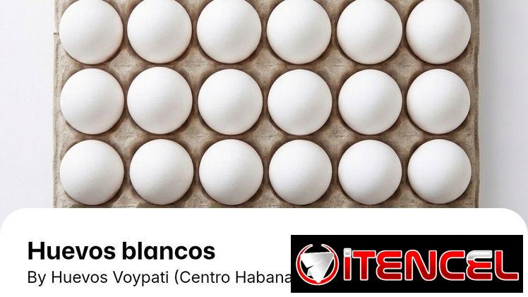 CARTON DE HUEVOS