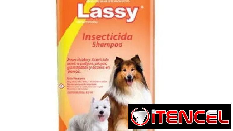 Shampoo Lassy Insecticida