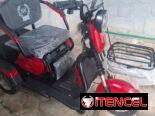 Triciclo de paseo