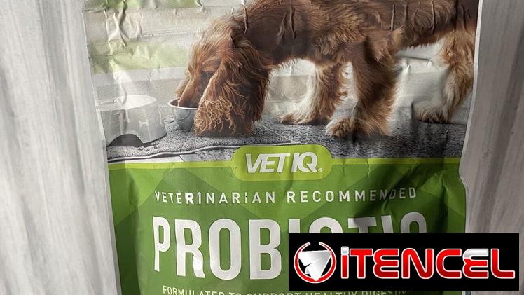 Probiótico para perros