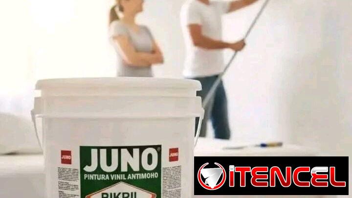 Pinturas originales de exportación