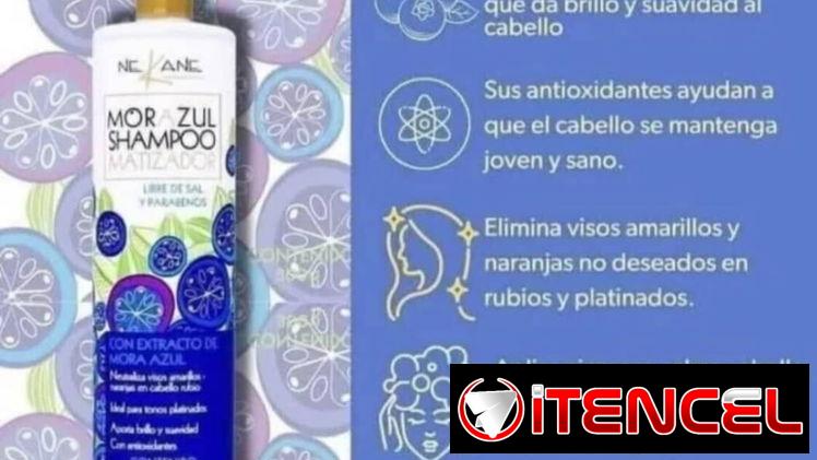 Champú matizador morazul