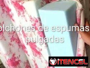 3c88bdfca0e542f57a7841fcb3a299d8414d9347aff2c9fb900e5c824099e269