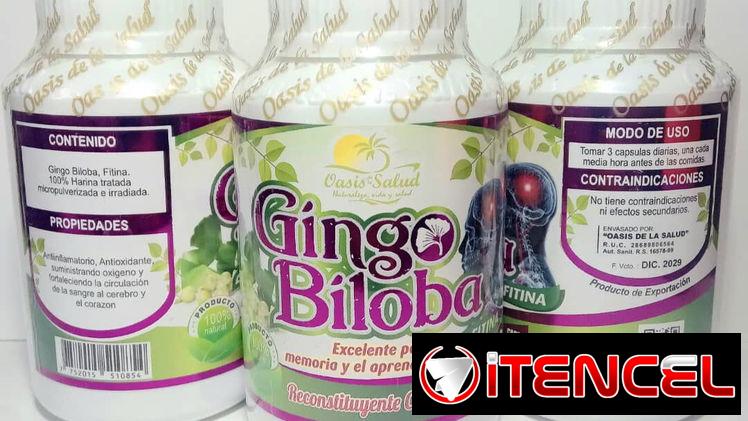 Gingo Biloba