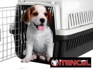 3d0f4251702ae3d2c6ba1cfeee3f8a9be7df8d27b0bf2847083877714491437f