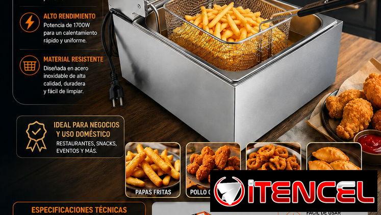 FREIDORA DE ACEITE 6L