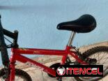 Bicicleta 16 y carriola eléctrica