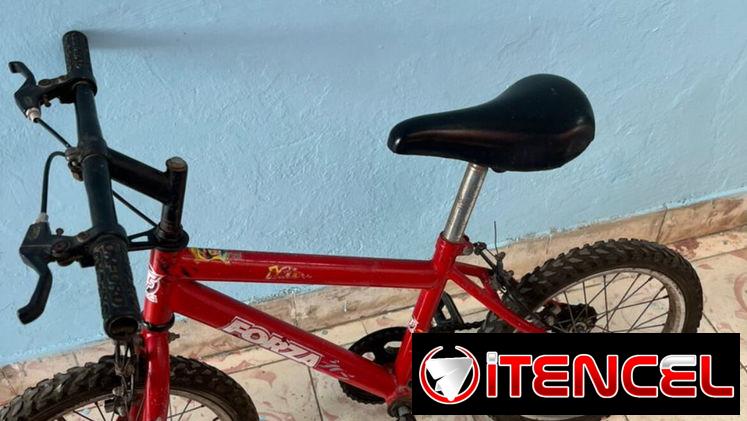 Bicicleta y carriola eléctrica