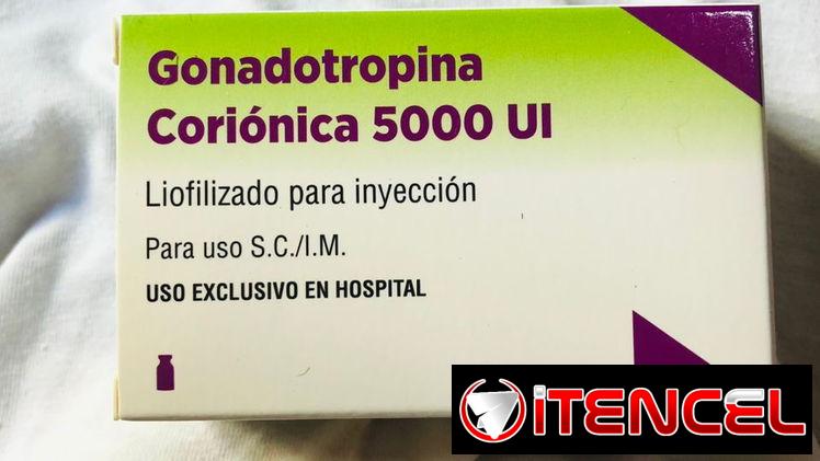 Gonadotropina