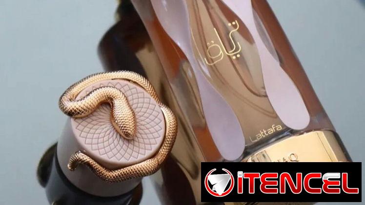 Perfumes Originales.  Diseñador, Arabe y Nicho. Perfumeria de calidad. Ten la fragancia que quieras en Claar Essenza