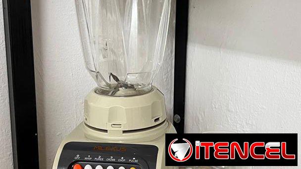 Batidora MILEXUS con pica especies