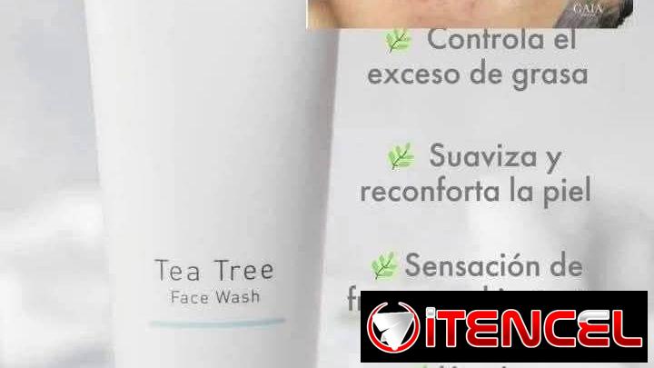 🌿Limpiador y crema facial TEA TREE 🌿 para acné y pieles grasas🌿