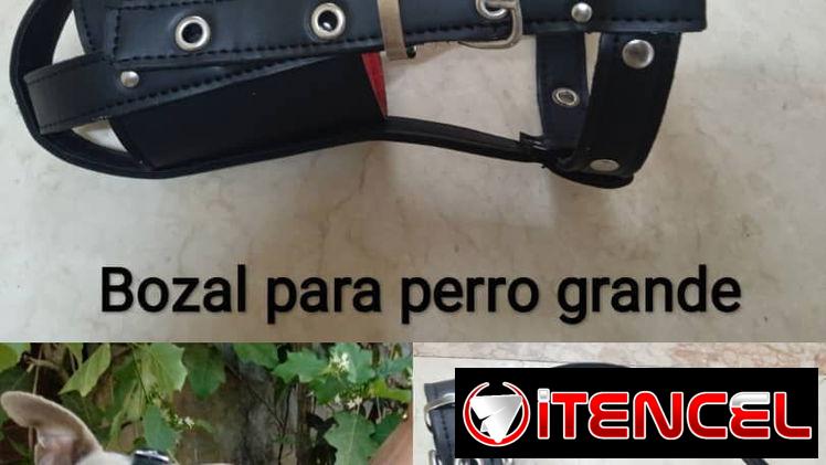Bozal de Cuero Tallas Grandes