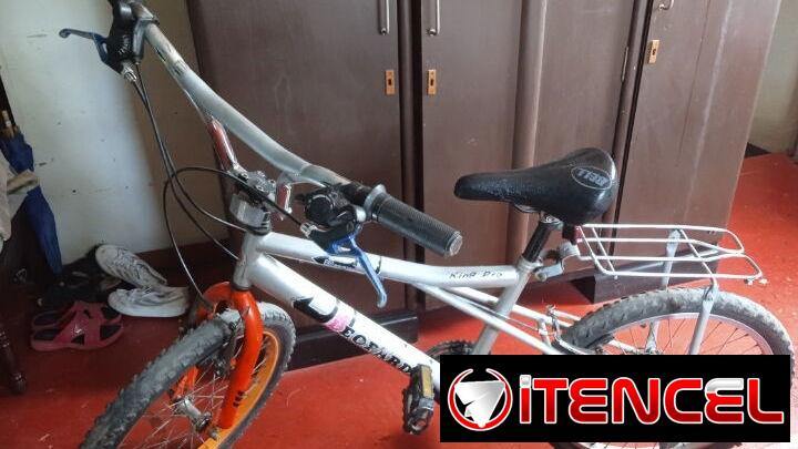 Bicicleta