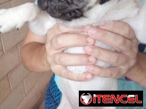 3feb2afa6ab90d38e2a8139074c0cd63d7a483c9ade48f13bd8eeda48878f9f9