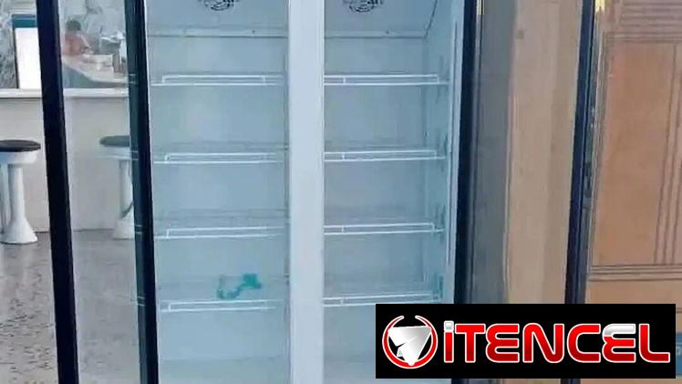 EXHIBIDORA MILEXUS / DOBLE PUERTA / 20 PIES / NUEVO / FRIZZER / NEVERA /
