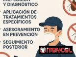 Fumigación para chincha