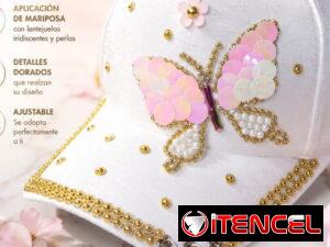 40685406173818cd498415229e88319ad9449531abeab6dadb9b68aa19868d8c