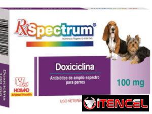 4161c84f3e2169fda6619b147cff6358b015290aad400446bcb052417dae08b0-1