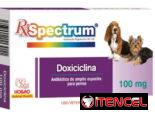 Doxiciclina Cefalexina Amoxicilina para perros y gatos