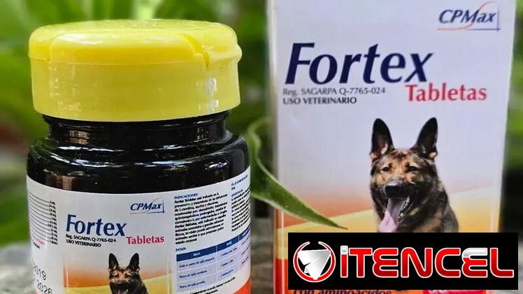 FORTEX VITAMINAS